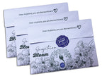 Jiujiteira Post | A Monthly Letter for Women Who Train ANNUAL Membership